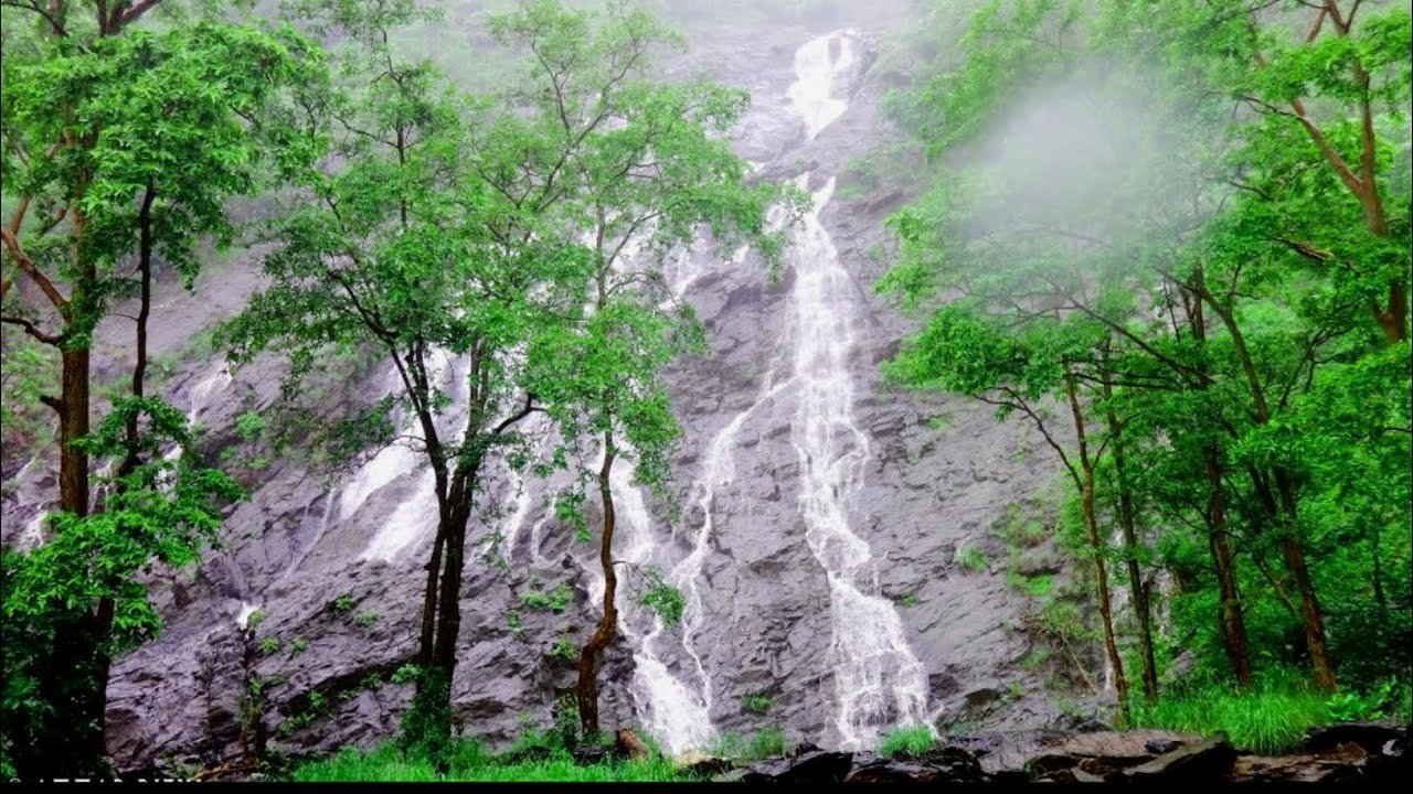 बालाघाट के अद्भुत पिकनिक स्पॉट्स: घूमने और आनंद लेने के लिए सबसे सुंदर जगहें