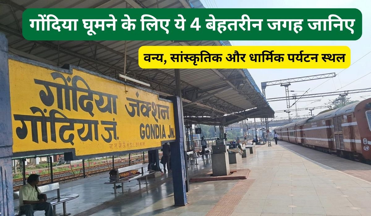 गोंदिया घूमने के लिए ये 4 बेहतरीन जगह जानिए, वन्य, सांस्कृतिक और धार्मिक पर्यटन स्थल के बारे में सब कुछ