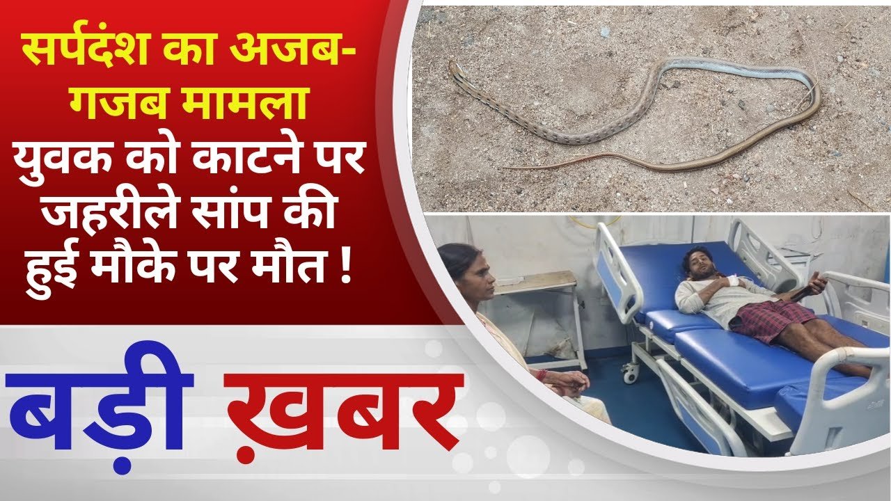 बालाघाट में अनोखा सर्पदंश मामला, युवक को सांप ने काटा लेकिन सांप की हुई मौत आखिर कैसे यहाँ जानिए
