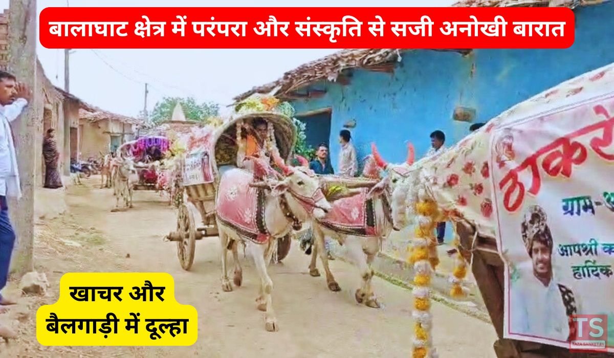 बालाघाट क्षेत्र में परंपरा और संस्कृति से सजी अनोखी बारात, खाचर और बैलगाड़ी में दूल्हा, काठी वाले घोड़े ने बांधा समा