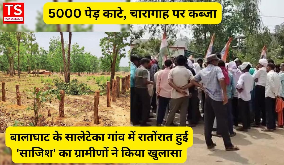 5000 पेड़ काटे, चारागाह पर कब्जा, बालाघाट के सालेटेका गांव में रातोंरात हुई 'साजिश' का ग्रामीणों ने किया खुलासा